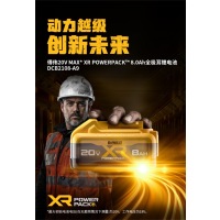 得伟20V Max 8.0Ah 锂电池DCB2108-A9块