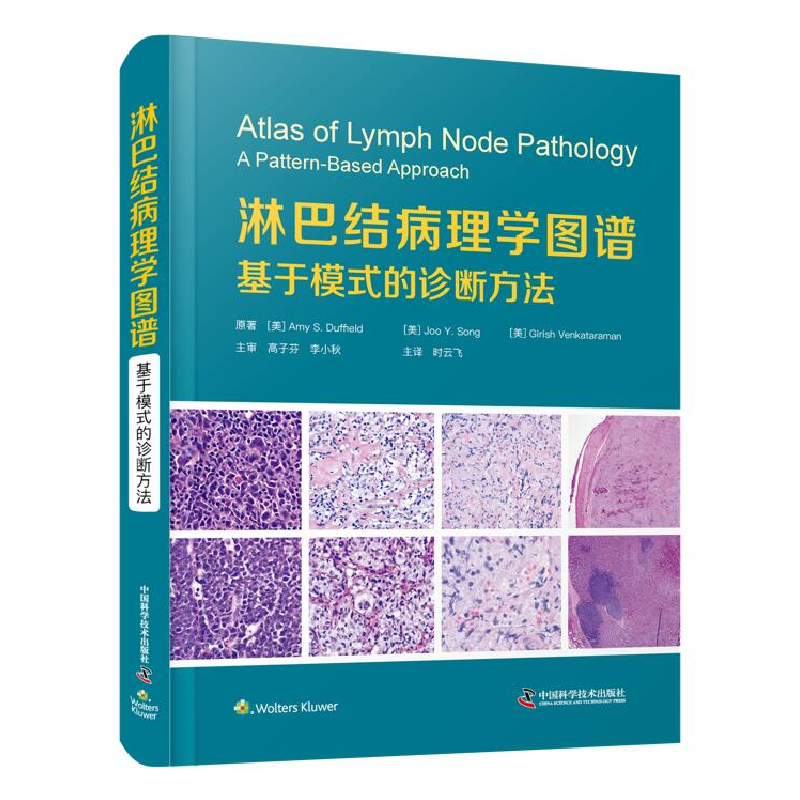 音像淋巴结病理学图谱:基于模式的诊断方法【美】 Amy S. Duffield
