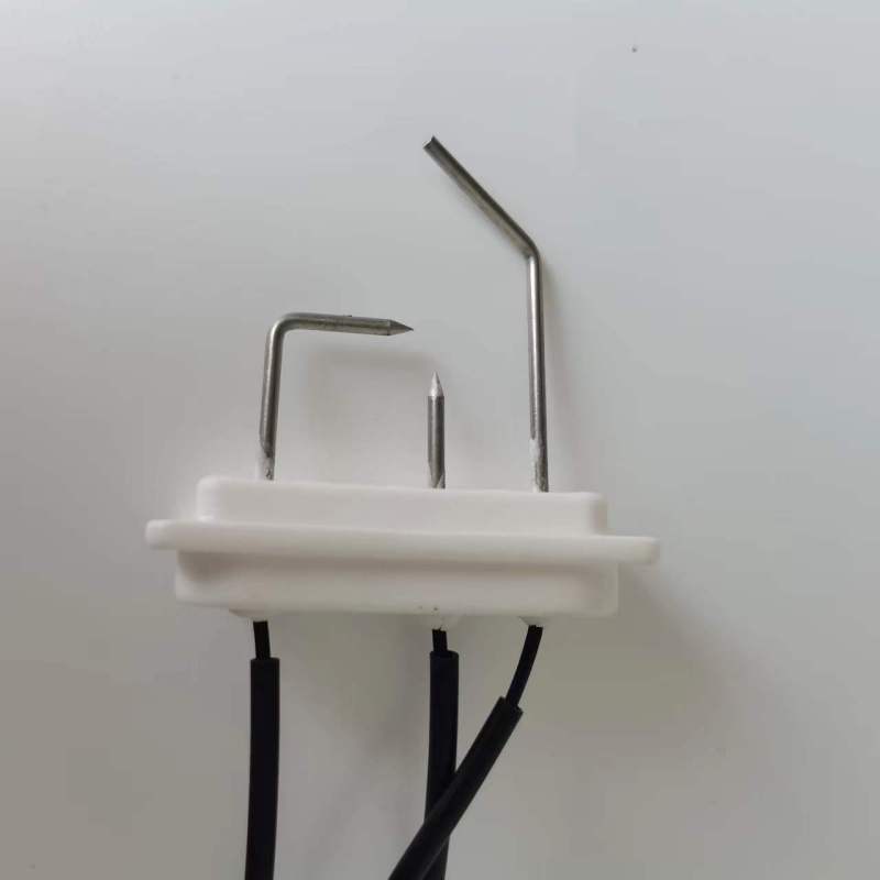 帮客材配 全新原装惠而浦燃气热水器jsq30- t16j 点火针与感应针连体