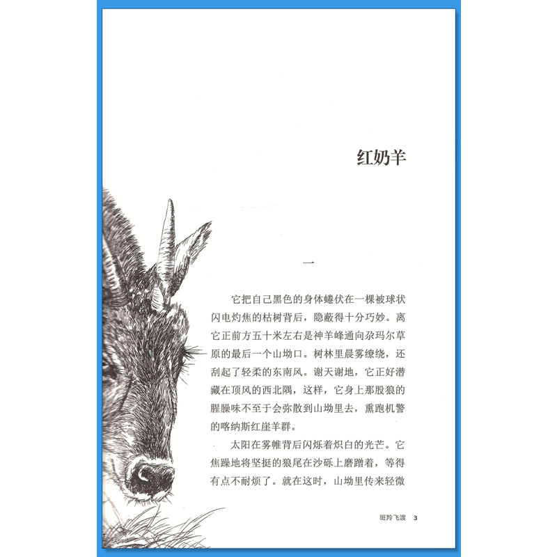 双面猎犬 [正版]斑羚飞渡沈石溪小学四年级五年级全集全套书浙江少年儿童出版社版完整版动物小说大王品藏书系小学生课外阅读适