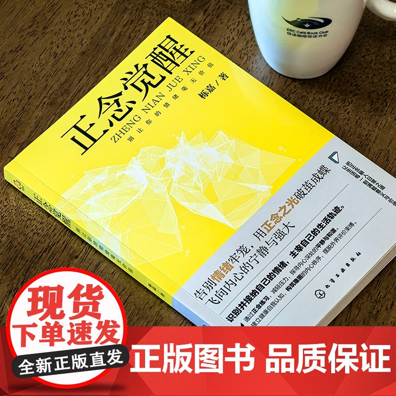 正念觉醒 别让你的情绪毫无价值 正念练习和技巧 改善情绪管理 提升生活质量 成人情绪稳定养成书记 管理情绪 提升自我 内高清大图