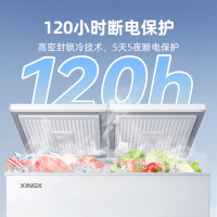 星星(XINGX)315升商用家用双温 冰柜 冷藏冷冻转换冷柜 商用保鲜设备展示柜 顶开门冰箱 BCD-315JE