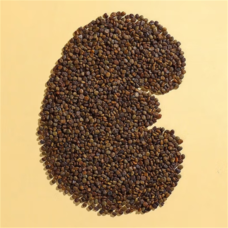 甄选沙苑子100克干货新货正品官方店沙苑子泡酒煮水泡茶另售兔丝子茶高清大图