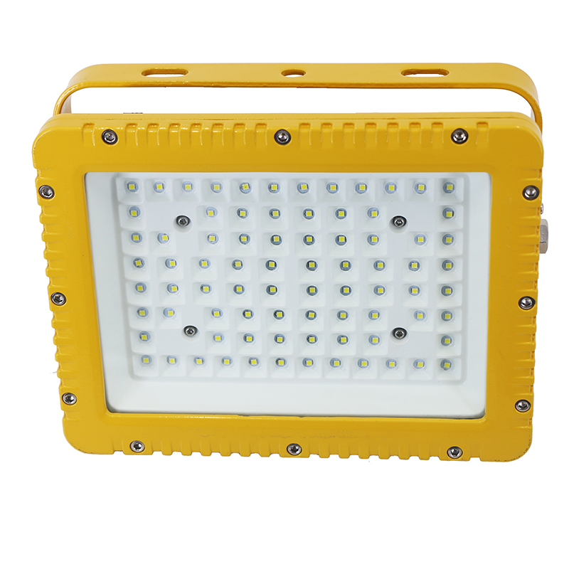 明特佳 MTJ-FTD8201-L300、IP66、AC220V、5700K、ExdIICT6Gb、LED防爆灯高清大图