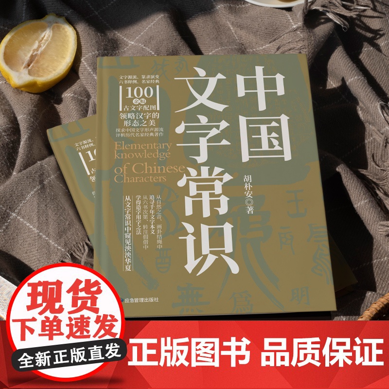 「汉字密码」中国文字常识解密 200幅精美配图 100余幅古文字示例 甲骨文到简化的演变史 正版书籍高清大图