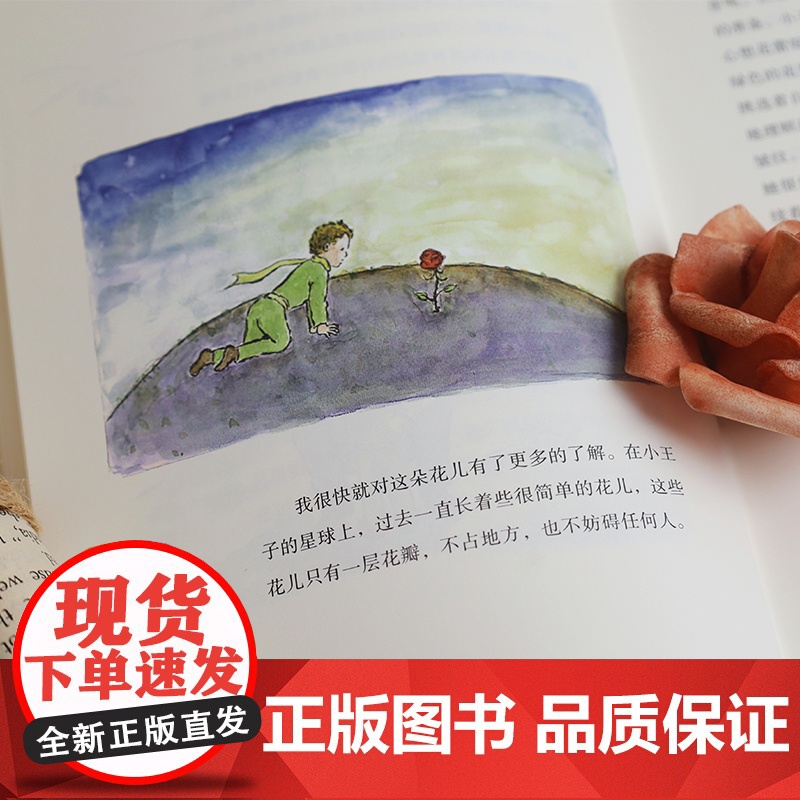 小王子 周克希插图本 中英双语版 纪念《小王子》出版80周年 法语翻译家周克希亲绘插图 随书附赠精美藏书票 华东师范大学高清大图