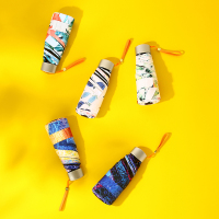 尼诺里拉NINORIVA 彩绘印花扁伞 /NL0391(颜色随机)