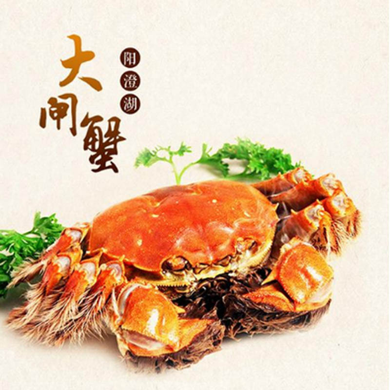 阳澄湖有机大闸蟹金榜题名1188型