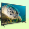 TCL 电视机 55F6 55寸 4K 3840*2160 安卓