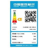 TCL 6.5公斤 半自动双缸波轮洗衣机 洗脱分离 喷淋漂洗 （白色）XPB65-2228S