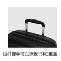 双排轮拉杆箱法国大使00310180100 LHX 常规款B2B商品 100个起订