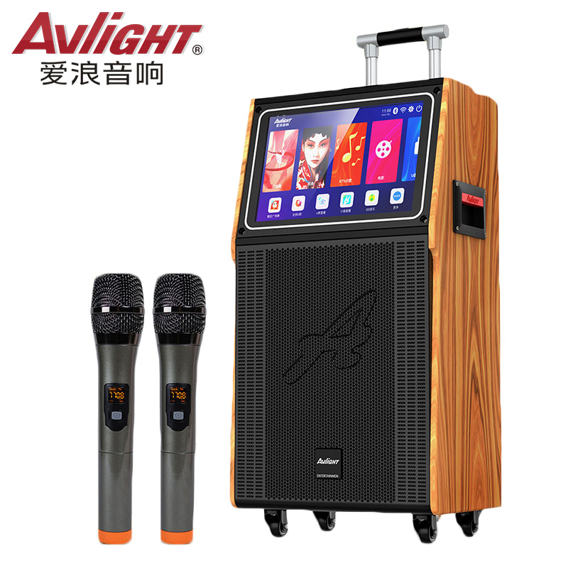 爱浪(Avlight)DS11-215广场舞音响带显示屏拉杆户外演出户外网红直播蓝牙音箱无线麦克风内置声卡