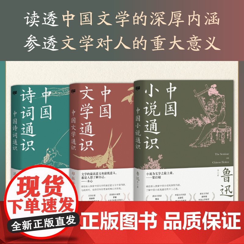 中国文学通识全三册郑振铎14位大师共著读透中国文学的深厚内涵 中国小说通识鲁迅+中国诗词通识流沙河高清大图
