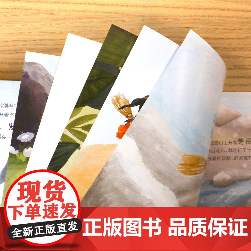 宝贝爱数理化全套12册 给孩子的科普绘本3到6岁幼儿园绘本阅读 4岁5岁书籍儿童读物睡前故事书3一6 8岁中班大班一年级高清大图