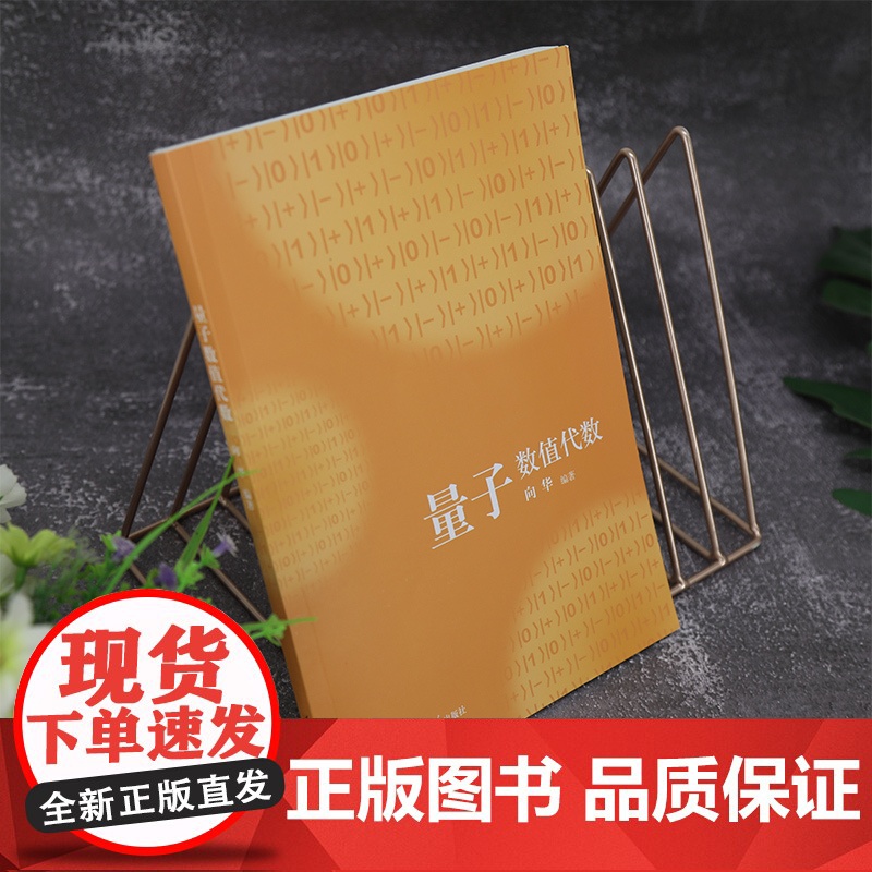 [正版新书] 量子数值代数 向华 清华大学出版社 信息与计算科学数学类教材高清大图