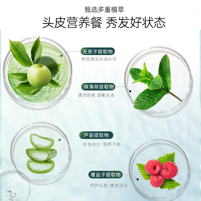 滋源(seeyoung) 无患子控油清爽 535ml 洗发水 (计价单位:瓶)高清大图