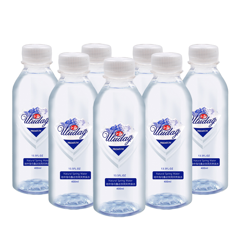 乌鲁达 矿泉水 ULUDAG饮用水400mlL整箱装塑料瓶400ml*12瓶整箱装
