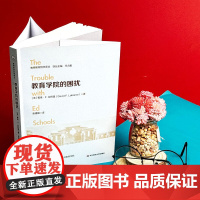 教育学院的困扰 戴维·F.拉巴里 著 中小学教辅