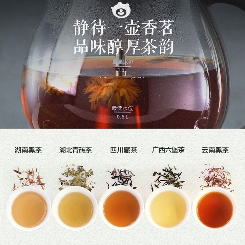 小熊 煮茶器 ZCQ-A10T2高清大图