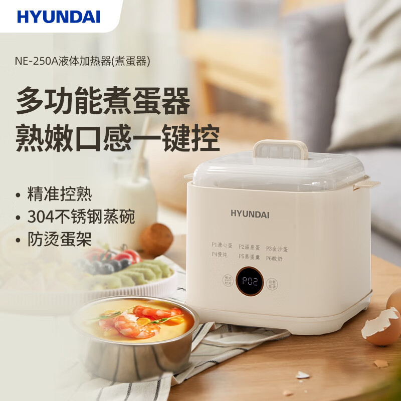 HYUNDAI液体加热器煮蛋器NE-250A(单位:台)