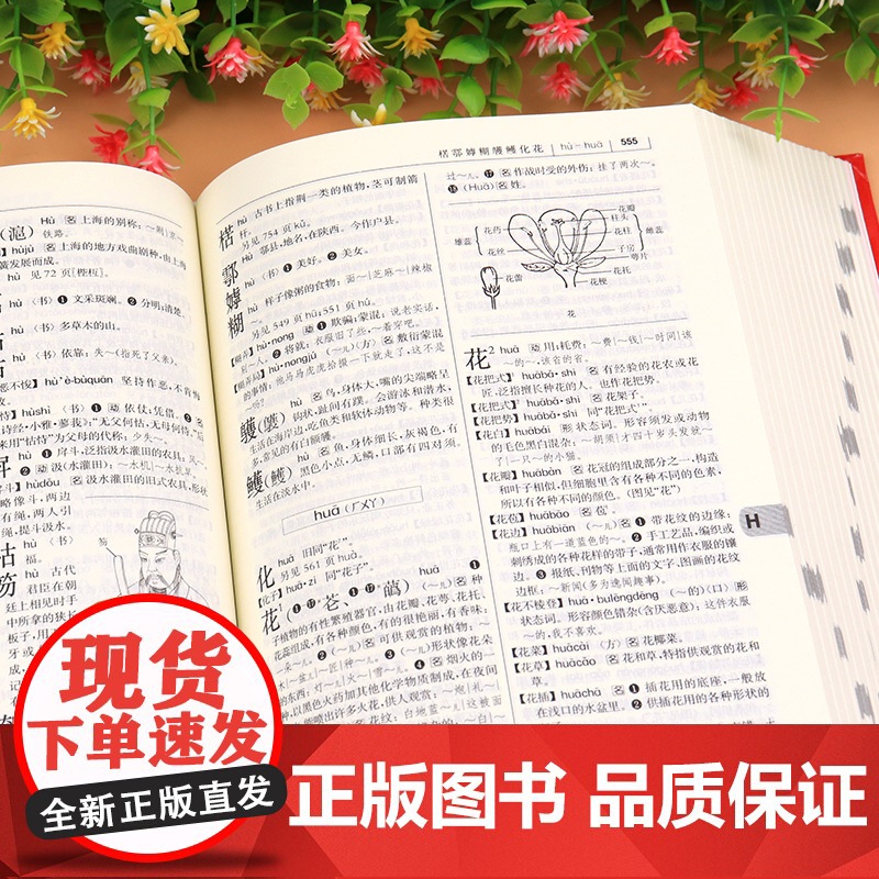 现代汉语词典第7版第七版古汉语常用字字典第6版商务印书馆 古代汉语词典高中初中专用工具书词典辞典新华正版现代汉语规范词典高清大图