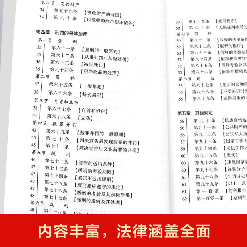 中华人民共和国刑法 [正版]全新 新版中华人民共和国民法典+刑法实用版法律常识 案例注释 看得懂学得会用得上的法律指南高清大图