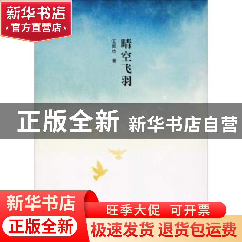 正版 晴空飞羽 王国钧著 南京大学出版社 9787305209055 书籍
