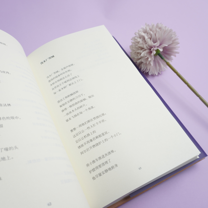[正版]华东师大直发 雷恩诗选 帕特里克雷恩 外国诗歌 加拿大诗人 荷马奖章桂冠诗人译丛 精装高清大图