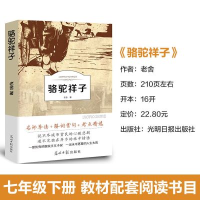 骆驼祥子:光明日报出版社 附赠考题 海底两万里骆驼祥子七年级下册必读 课外书