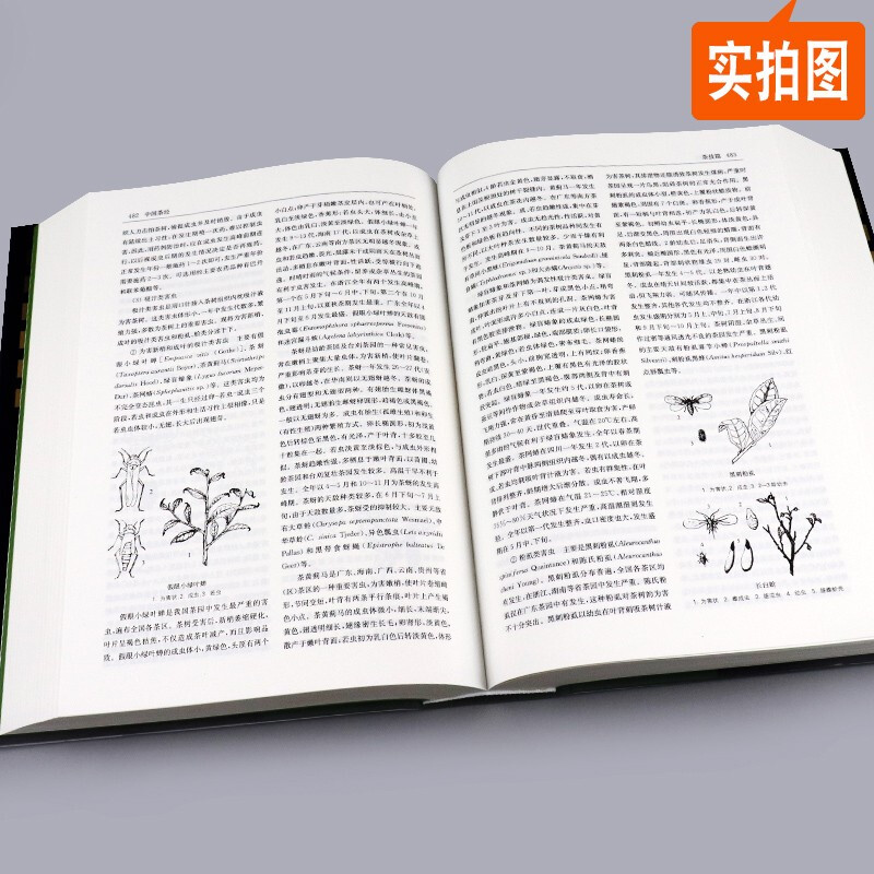 [醉染正版]中国茶经 陈宗懋 杨亚军 领衔数十位茶学专家修订茶叶生活实用识茶品茶泡茶图鉴中国文化经典系列茶文化百科茶道茶高清大图