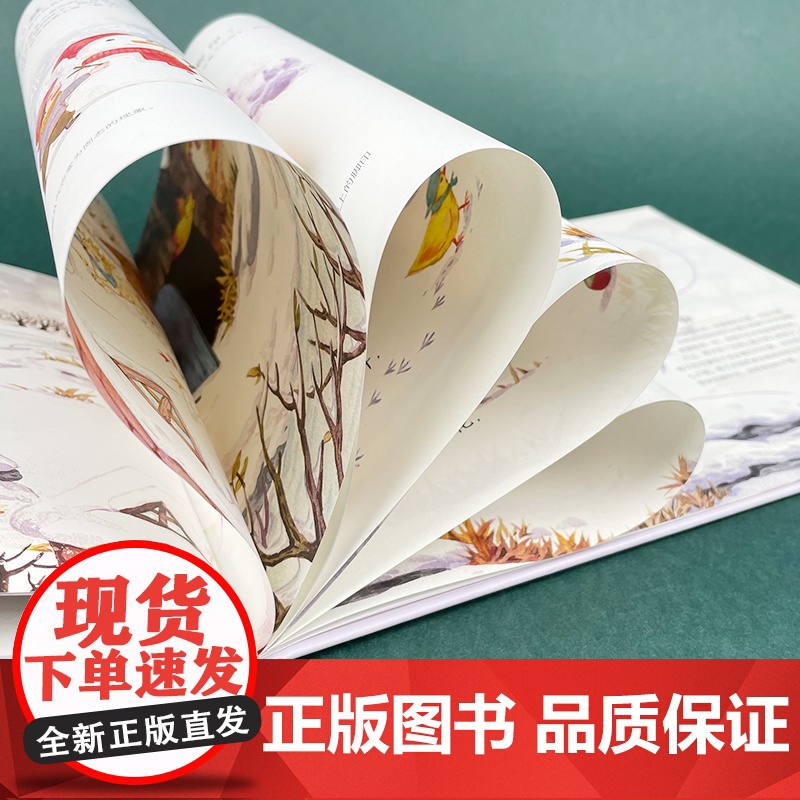 [精装硬壳绘本]雪地里的小画家(陪孩子读绘本·科学启蒙系列) 程宏明 绘本自然动物早教5-8岁高清大图