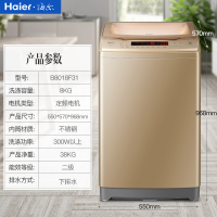 Haier海尔洗衣机8公斤B8018F31 防缠绕家用智能非变频节能静音小型全自动波轮洗衣机（金色）
