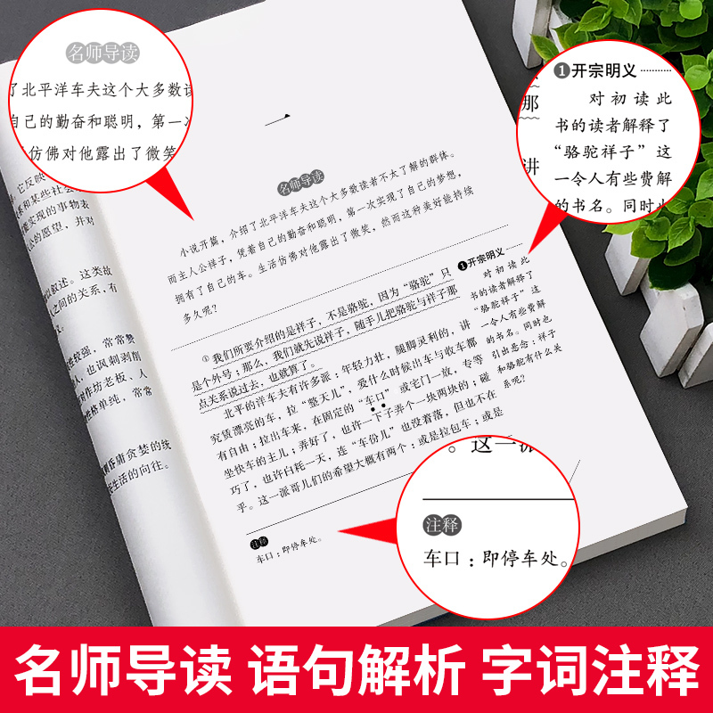非洲民间故事(4本35元 5本39元) [正版]骆驼祥子原着老舍 五年级阅读课外书籍语文人教版同步读物完整版 适合小学生