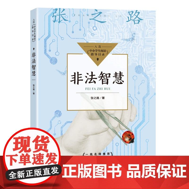 非法智慧豆蔻镇书系张之路非常神秘系列长江文艺出版社少儿科幻小说故事书6-12岁四五六年级中小学生课外阅读书籍图片