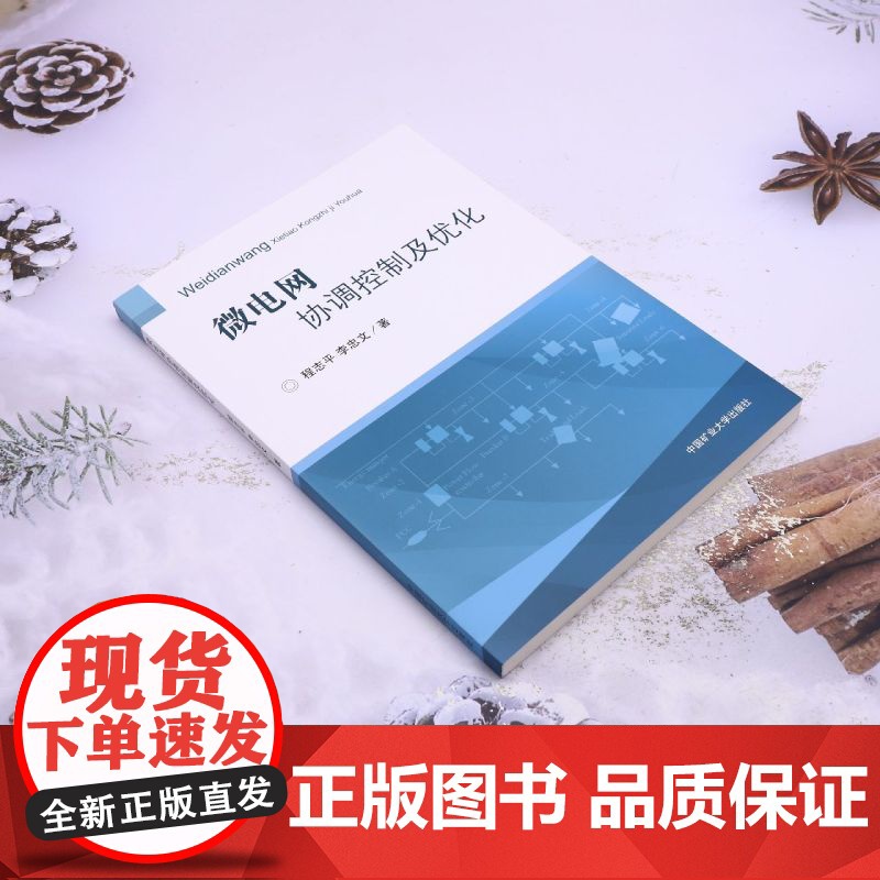 微电网协调控制及优化高清大图