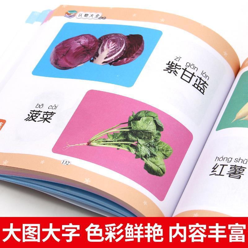 儿童认物大全认标志水果动物形状颜色0-6岁宝宝看图识物启蒙认知 识字大王.有声伴读