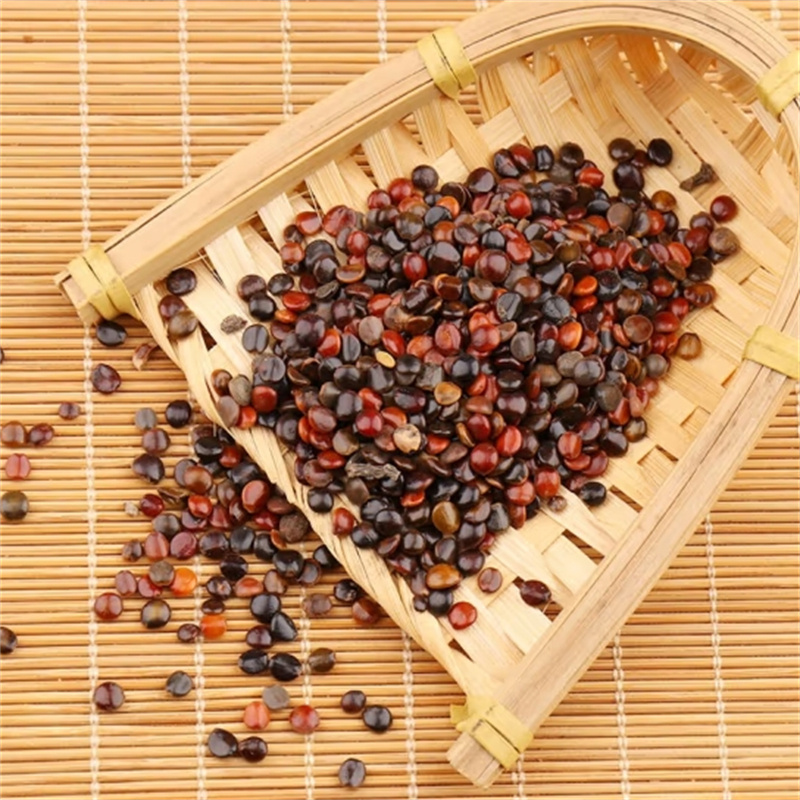 甄选枳椇子100克树蜜万寿果鸡爪梨枳椇另售郁金玫瑰花9260高清大图