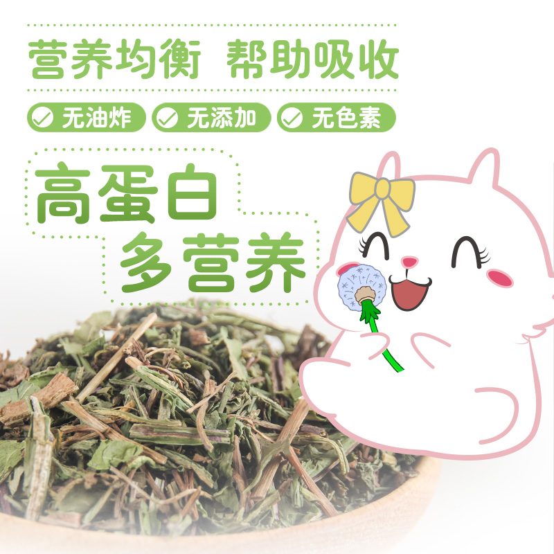 蒲公英兔子豚鼠龙猫仓鼠消暑粮食饲料食物营养零食高清大图
