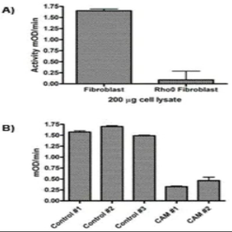 艾博抗 ab109721 Complex I Enzyme Activity Microplate Assay Kit高清大图