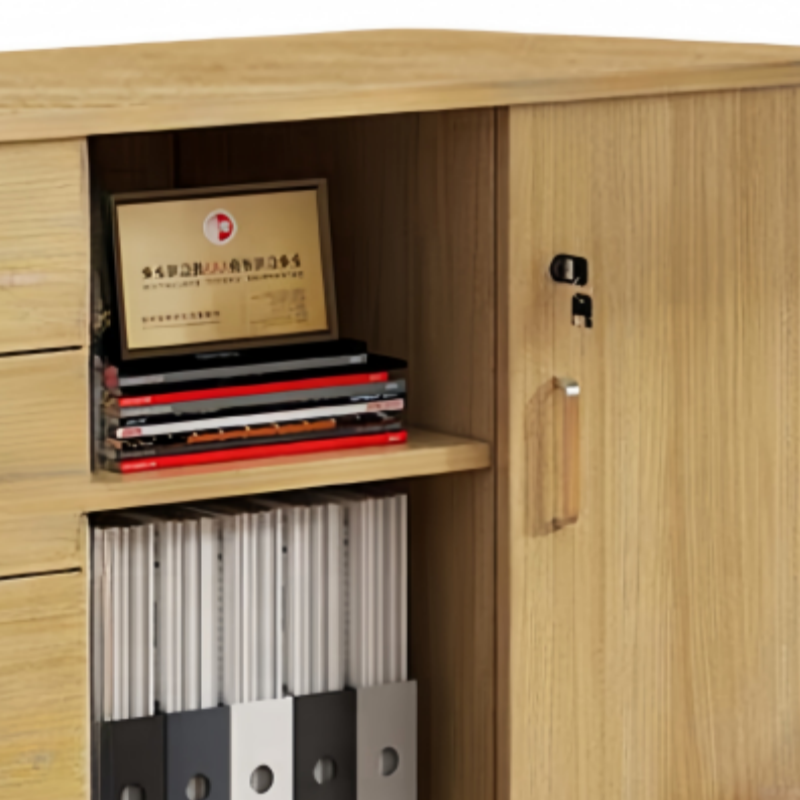 豫龙都资料柜 木质个高清大图