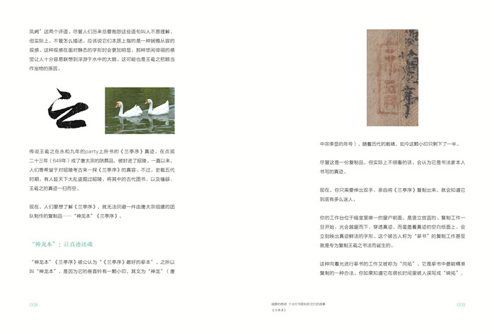 [正版]寂静的绝响 十大行书名帖和它们的故事收录十大行书收藏字帖兰亭序祭侄稿黄州寒食帖成人毛笔软笔书法行书练字帖尹飞卿著高清大图