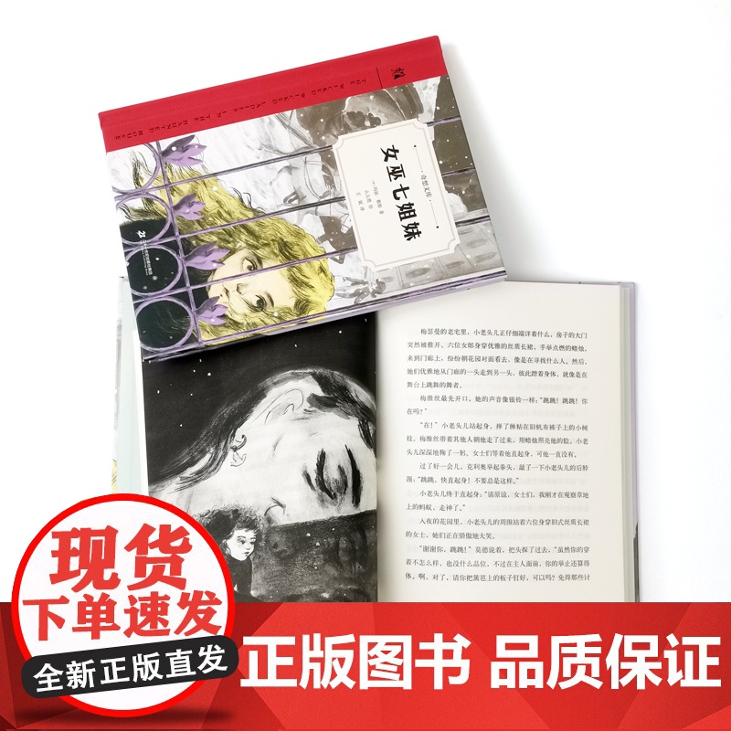 女巫七姐妹(奇想文库第二辑 精装 中年级适读 普利策戏剧奖获得者玛丽·蔡斯倾心之作)高清大图