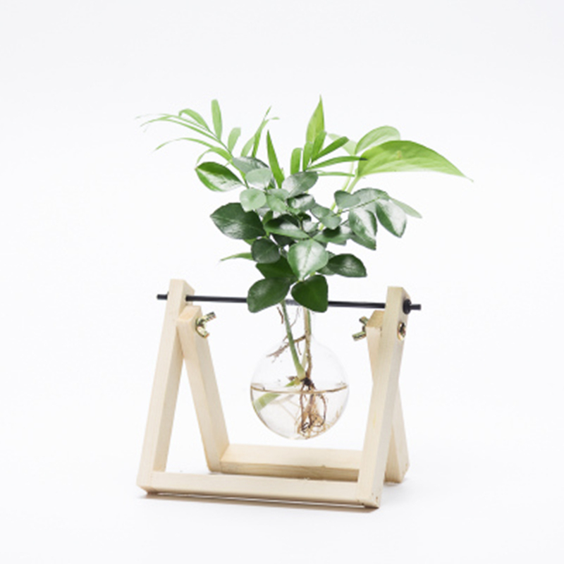 回固创意水培植物绿萝办公室内桌面小清新绿植盆栽花卉玻璃瓶水培摆件