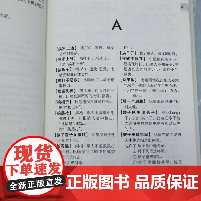 惯用语10000条 学生词典工具书书籍高清大图