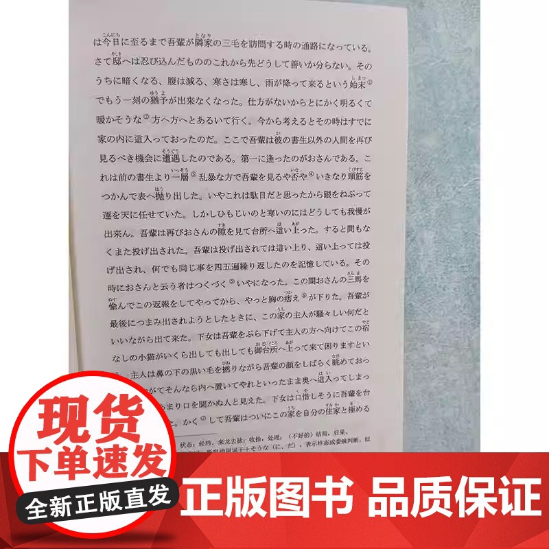 日本文学鉴赏 我是猫 日汉对照全译本人间失格 阴兽 河童 阁楼里的散步者 夏目漱石 太宰治 日语读物双语文学图书书籍高清大图