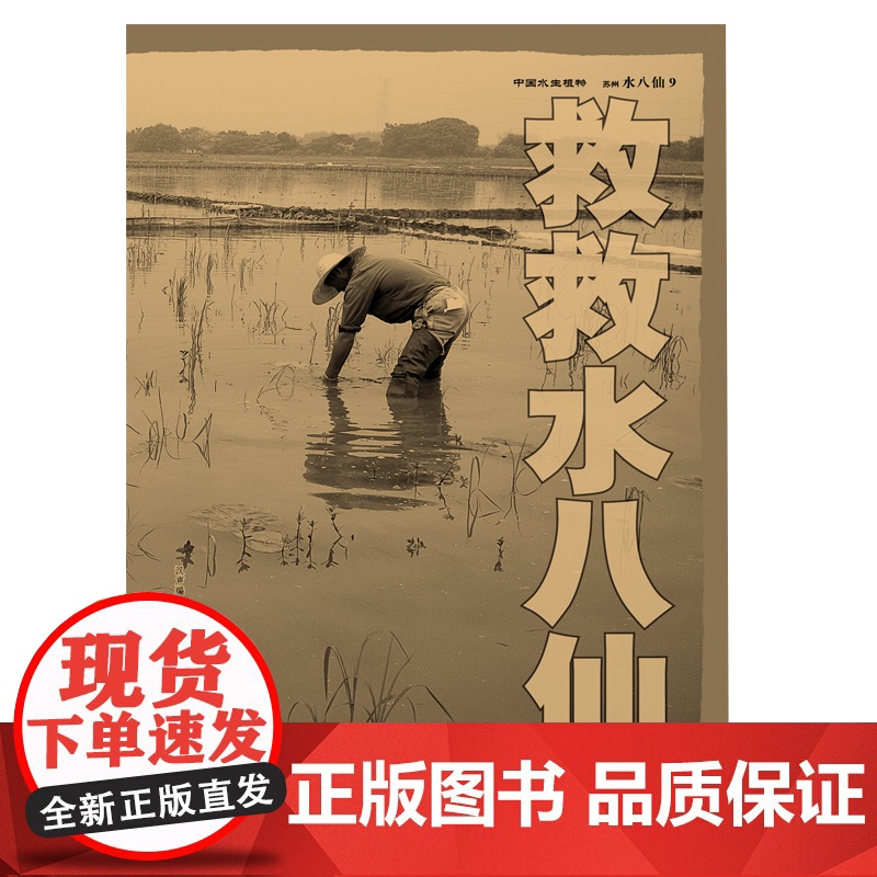 纯粹·中国水生植物:苏州水八仙 汉声编辑室编著 水八仙 饮食文化 文化 水八仙菜肴 广西师范大学出版社高清大图