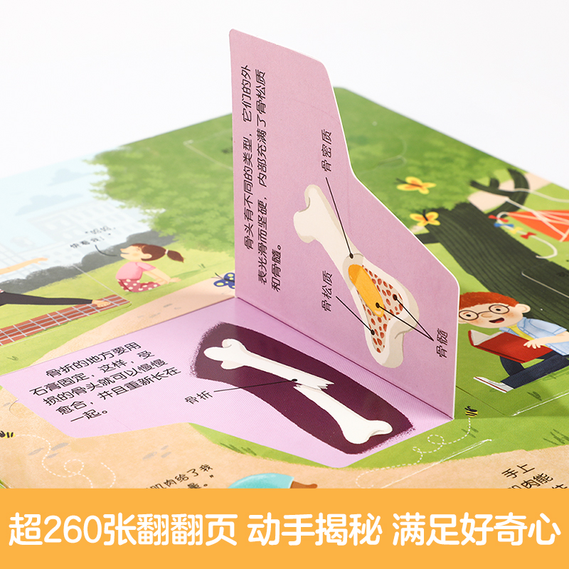 1.揭秘安全 [正版]绘本3到6岁 低幼儿童科普绘本恐龙动物汽车交通工具揭秘翻翻书系列3d立体百科常识启蒙认知百问百答入高清大图