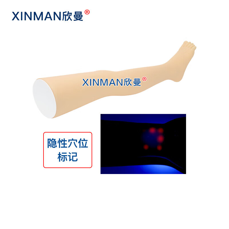 欣曼科教 针灸腿部训练模型 腿部针灸针刺扎针练习模型XM-ZC04高清大图