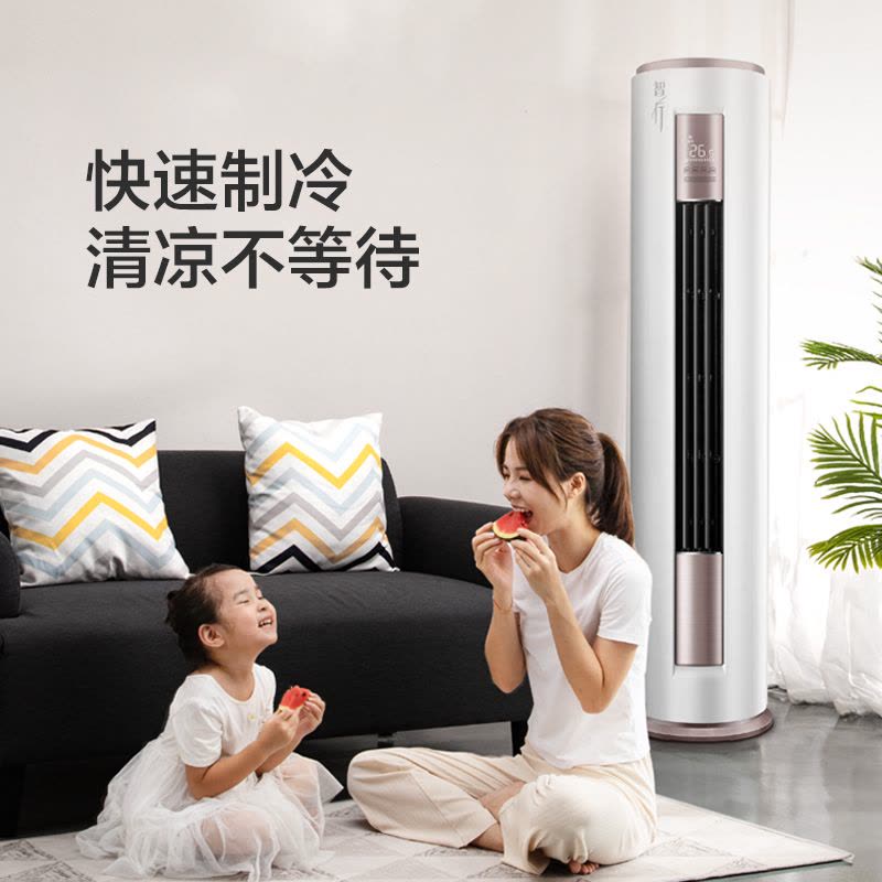 美的(Midea) 新一级节能大2匹 变频冷暖客厅立式空调柜机 以旧换新KFR-51LW/BDN8Y-YH200(1)A图片