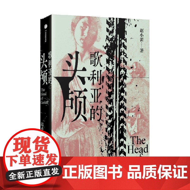 歌利亚的头颅 赵小蕾著 现代的罪与罚故事 长篇小说 父子关系 权力斗争 中信出版社图书 正版高清大图